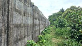 Se vende lote en Mata de Plátano Goicoechea 25-1767