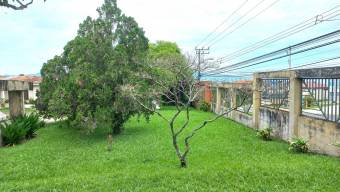 Se vende lote en Mata de Plátano Goicoechea 25-1767