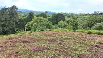 Se vende lote en Mata de Plátano Goicoechea 25-1767