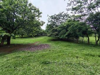 Lote Venta Alajuela
