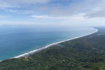 SE VENDE FINCA EN DOMINICAL CON VISTAS AL MAR Y NACIENTES DE AGUA EN 55 HECTAREAS