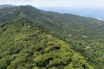 SE VENDE FINCA EN DOMINICAL CON VISTAS AL MAR Y NACIENTES DE AGUA EN 55 HECTAREAS