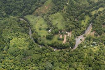 SE VENDE FINCA EN DOMINICAL CON VISTAS AL MAR Y NACIENTES DE AGUA EN 55 HECTAREAS