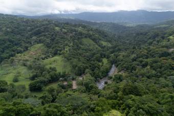 SE VENDE FINCA EN DOMINICAL CON VISTAS AL MAR Y NACIENTES DE AGUA EN 55 HECTAREAS