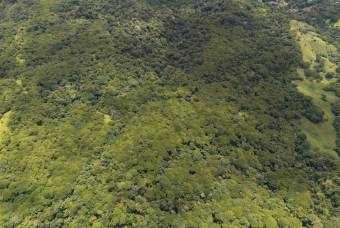 SE VENDE FINCA EN DOMINICAL CON VISTAS AL MAR Y NACIENTES DE AGUA EN 55 HECTAREAS