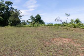 SE VENDE FINCA EN DOMINICAL CON VISTAS AL MAR Y NACIENTES DE AGUA EN 55 HECTAREAS