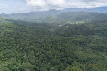 SE VENDE FINCA EN DOMINICAL CON VISTAS AL MAR Y NACIENTES DE AGUA EN 55 HECTAREAS
