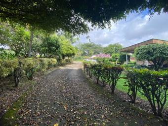 Venta de finca con uso comercial y acceso directo a carretera #26-553 GS