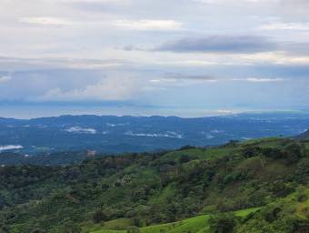 Se vende casa en Atenas Alajuela 26-554
