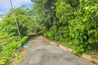 SE VENDE OPORTUNIDAD DE DESARROLLO CON VISTAS PANORAMICAS AL MAR EN OSA
