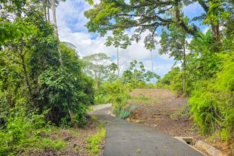 SE VENDE OPORTUNIDAD DE DESARROLLO CON VISTAS PANORAMICAS AL MAR EN OSA