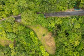 SE VENDE OPORTUNIDAD DE DESARROLLO CON VISTAS PANORAMICAS AL MAR EN OSA