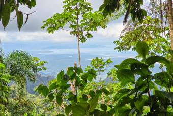 SE VENDE OPORTUNIDAD DE DESARROLLO CON VISTAS PANORAMICAS AL MAR EN OSA