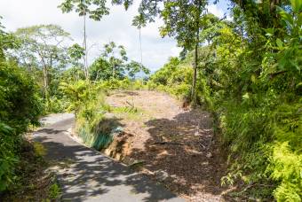 SE VENDE OPORTUNIDAD DE DESARROLLO CON VISTAS PANORAMICAS AL MAR EN OSA