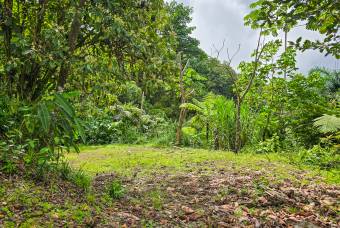 SE VENDE OPORTUNIDAD DE DESARROLLO CON VISTAS PANORAMICAS AL MAR EN OSA