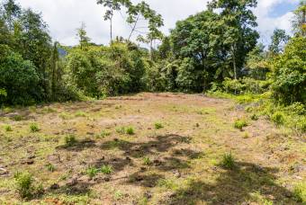 SE VENDE OPORTUNIDAD DE DESARROLLO CON VISTAS PANORAMICAS AL MAR EN OSA