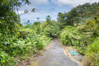 SE VENDE OPORTUNIDAD DE DESARROLLO CON VISTAS PANORAMICAS AL MAR EN OSA