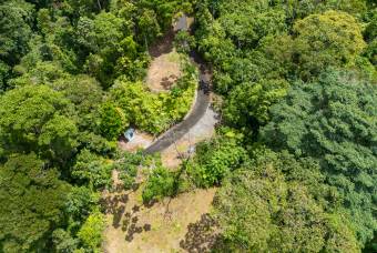 SE VENDE OPORTUNIDAD DE DESARROLLO CON VISTAS PANORAMICAS AL MAR EN OSA