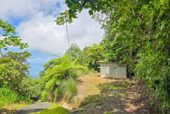 SE VENDE OPORTUNIDAD DE DESARROLLO CON VISTAS PANORAMICAS AL MAR EN OSA