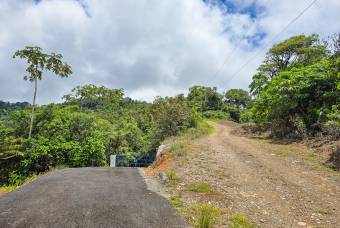 SE VENDE OPORTUNIDAD DE DESARROLLO CON VISTAS PANORAMICAS AL MAR EN OSA