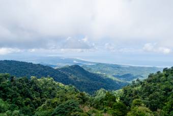 SE VENDE OPORTUNIDAD DE DESARROLLO CON VISTAS PANORAMICAS AL MAR EN OSA