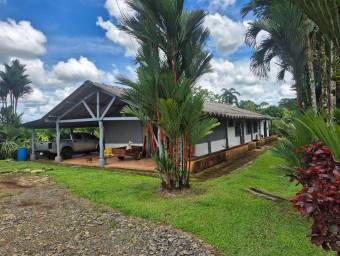 Venta de finca productiva de 77 hectáreas con lagunas y viviendas #26-834 GS