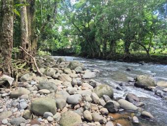 Venta de finca productiva de 77 hectáreas con lagunas y viviendas #26-834 GS