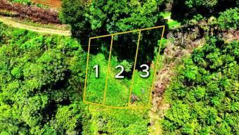 SE VENDE TERRENO LISTO PARA CONSTRUIR CON VISTAS INCREIBLES EN PEREZ ZELEDON SE VENDE TERRENO LISTO PARA CONSTRUIR CON VISTAS INCREIBLES EN PEREZ ZELEDON