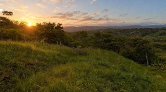 SE VENDE TERRENO LISTO PARA CONSTRUIR CON VISTAS INCREIBLES EN PEREZ ZELEDON