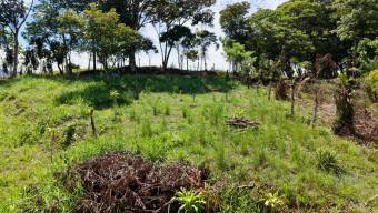 SE VENDE TERRENO LISTO PARA CONSTRUIR CON VISTAS INCREIBLES EN PEREZ ZELEDON SE VENDE TERRENO LISTO PARA CONSTRUIR CON VISTAS INCREIBLES EN PEREZ ZELEDON