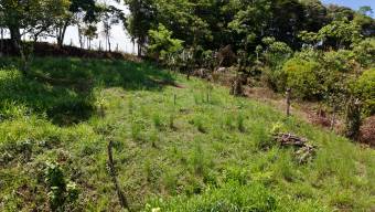 SE VENDE TERRENO LISTO PARA CONSTRUIR CON VISTAS INCREIBLES EN PEREZ ZELEDON SE VENDE TERRENO LISTO PARA CONSTRUIR CON VISTAS INCREIBLES EN PEREZ ZELEDON