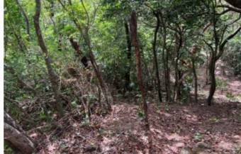 Venta de Lote en Piedades de Santa Ana. RAH 25-1246
