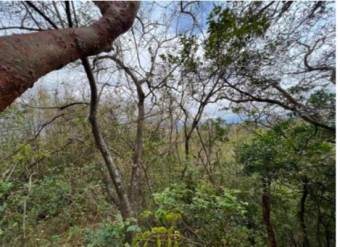 Venta de Lote en Piedades de Santa Ana. RAH 25-1246