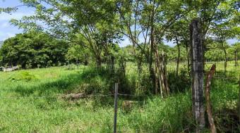 Venta de Terreno de Gran Extensión con Potencial de Desarrollo en Turrialba #27-226 GS