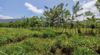 Venta de Terreno de Gran Extensión con Potencial de Desarrollo en Turrialba #27-226 GS