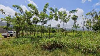 Venta de Terreno de Gran Extensión con Potencial de Desarrollo en Turrialba #27-226 GS