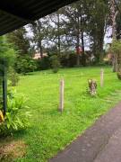 ALQUILER DE APARTAMENTO, HEREDIA, SAN ISIDRO, CALLE CHAVES - 10240559