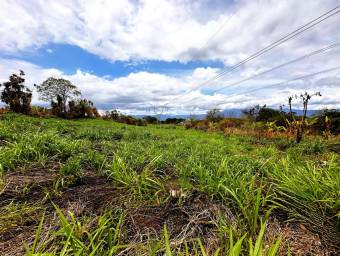 Venta de Lote en San Pablo, Heredia. RAH 27-305