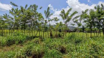 Venta de Lote en Turrialba de Cartago. RAH 27-226