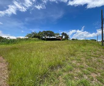 Lote plano de 1,227 m2 a la venta en Residencial Quintas El Dorado en La Guacima, Alajuela.
