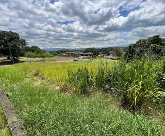 Lote plano de 1,227 m2 a la venta en Residencial Quintas El Dorado en La Guacima, Alajuela.