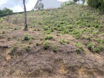 Se vende lote en Ciudad Colón Mora 25-721