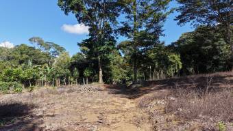 SE VENDE TERRENO PLANO Y LISTO PARA CONSTRUIR CON UBICACION ESTRATEGICA