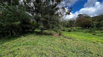 VENTA DE FINCA DE 10.9 HA FRENTE AL RIO EN VALLE DEL CHIRRIPO