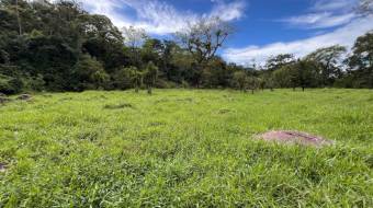 VENTA DE FINCA DE 10.9 HA FRENTE AL RIO EN VALLE DEL CHIRRIPO VENTA DE FINCA DE 10.9 HA FRENTE AL RIO EN VALLE DEL CHIRRIPO