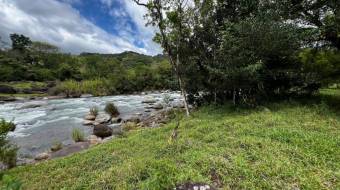 VENTA DE FINCA DE 10.9 HA FRENTE AL RIO EN VALLE DEL CHIRRIPO VENTA DE FINCA DE 10.9 HA FRENTE AL RIO EN VALLE DEL CHIRRIPO