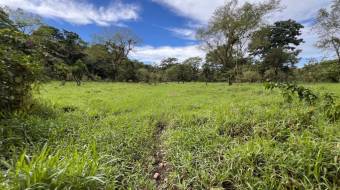 VENTA DE FINCA DE 10.9 HA FRENTE AL RIO EN VALLE DEL CHIRRIPO VENTA DE FINCA DE 10.9 HA FRENTE AL RIO EN VALLE DEL CHIRRIPO