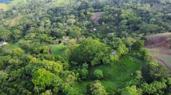 Vendo finca en Altos del Socorro Hojancha Guanacaste 