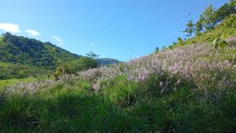 Vendo finca en Altos del Socorro Hojancha Guanacaste 