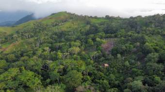 Vendo finca en Altos del Socorro Hojancha Guanacaste 